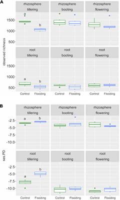 Flooding Causes Dramatic Compositional Shifts and Depletion of Putative Beneficial Bacteria on the Spring Wheat Microbiota